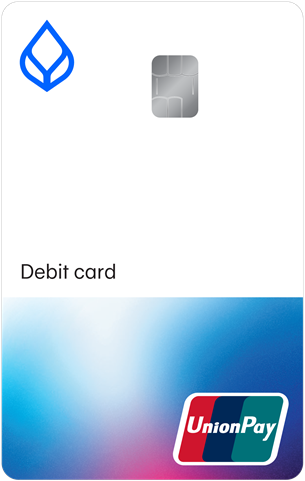 Debit2